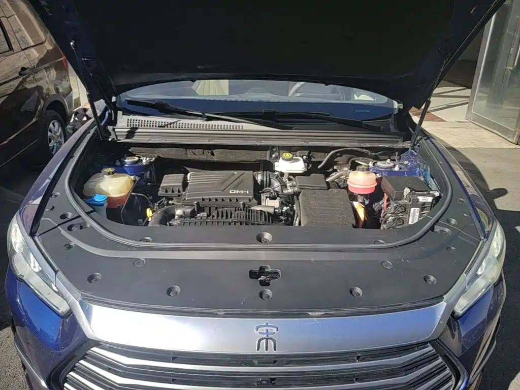BYD Pro New Energy — фото 20
