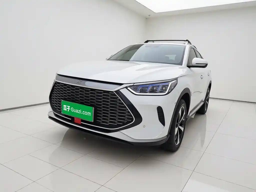 BYD PLUS New Energy — фото 2