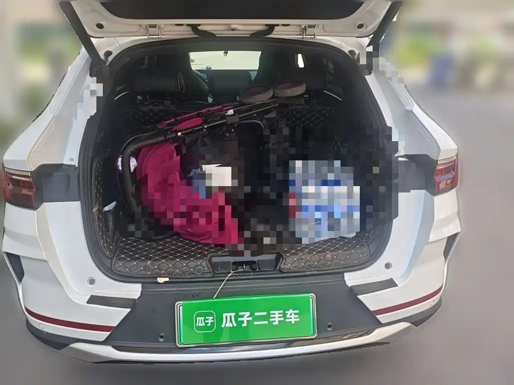 BYD PLUS New Energy — фото 10