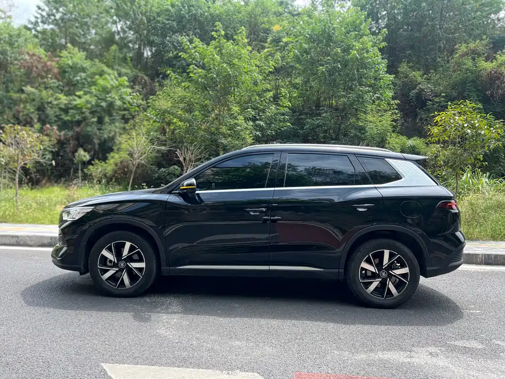BYD Pro New Energy — фото 2