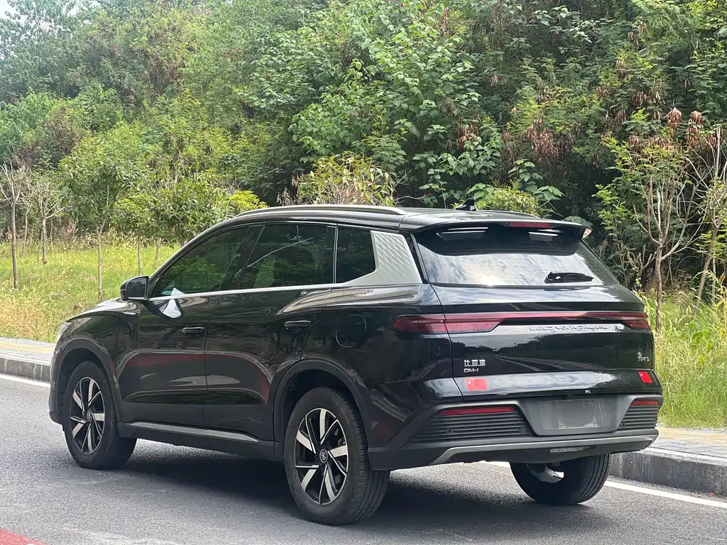 BYD Pro New Energy — фото 14