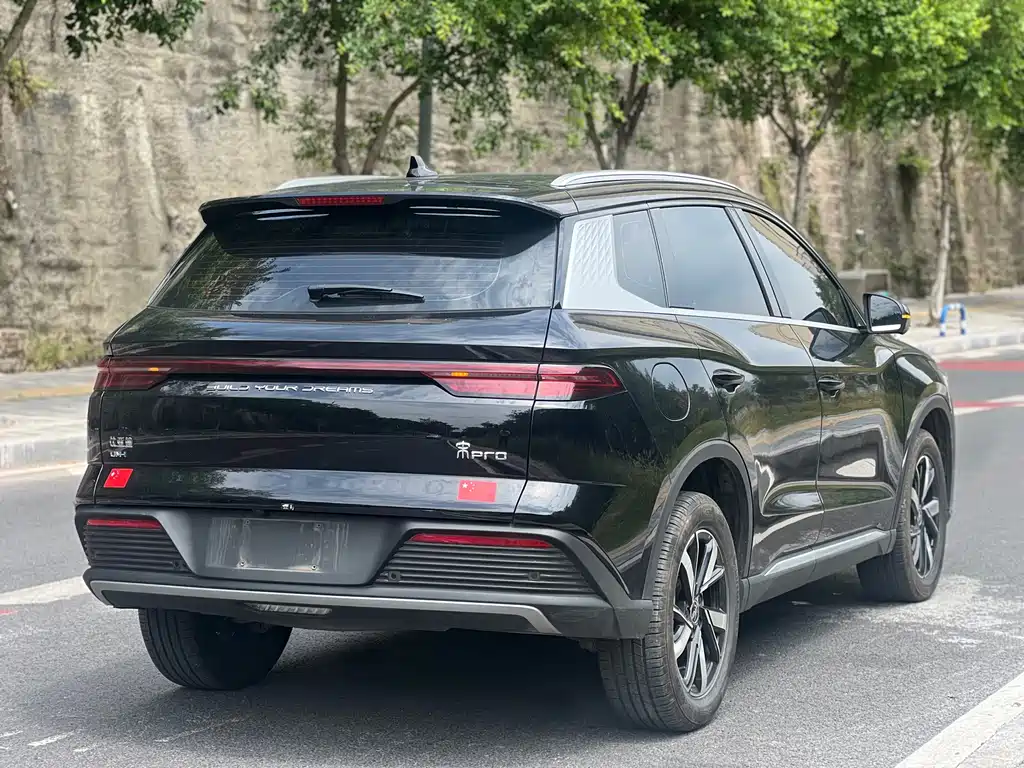 BYD Pro New Energy — фото 17