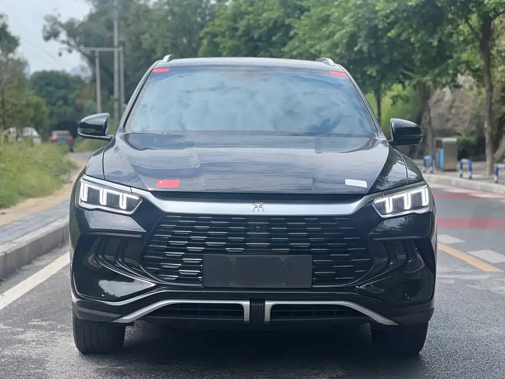 BYD Pro New Energy — фото 19
