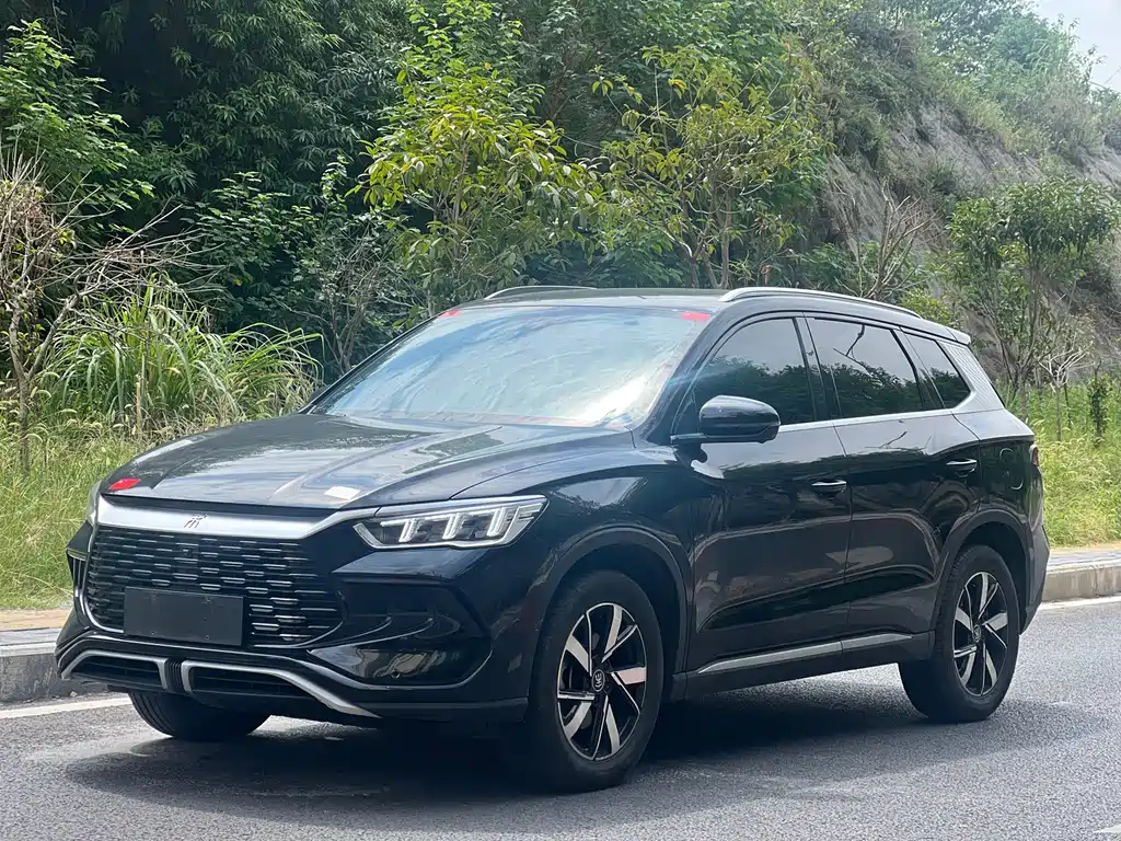 BYD Pro New Energy — фото 20