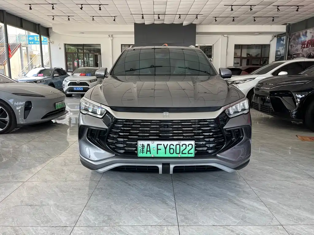 BYD Pro New Energy — фото 2