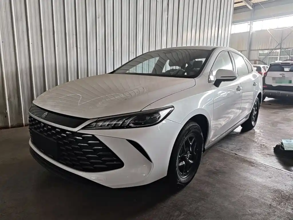 BYD Qin PLUS — фото 2