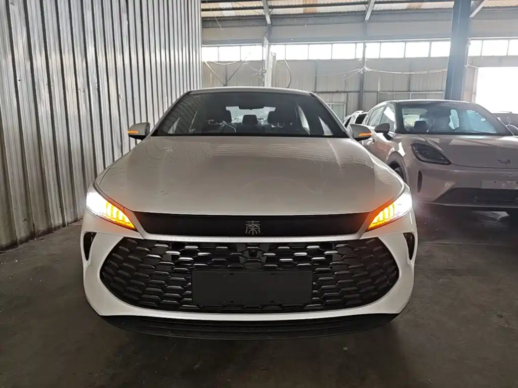 BYD Qin PLUS — фото 3