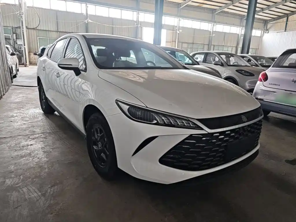 BYD Qin PLUS — фото 4