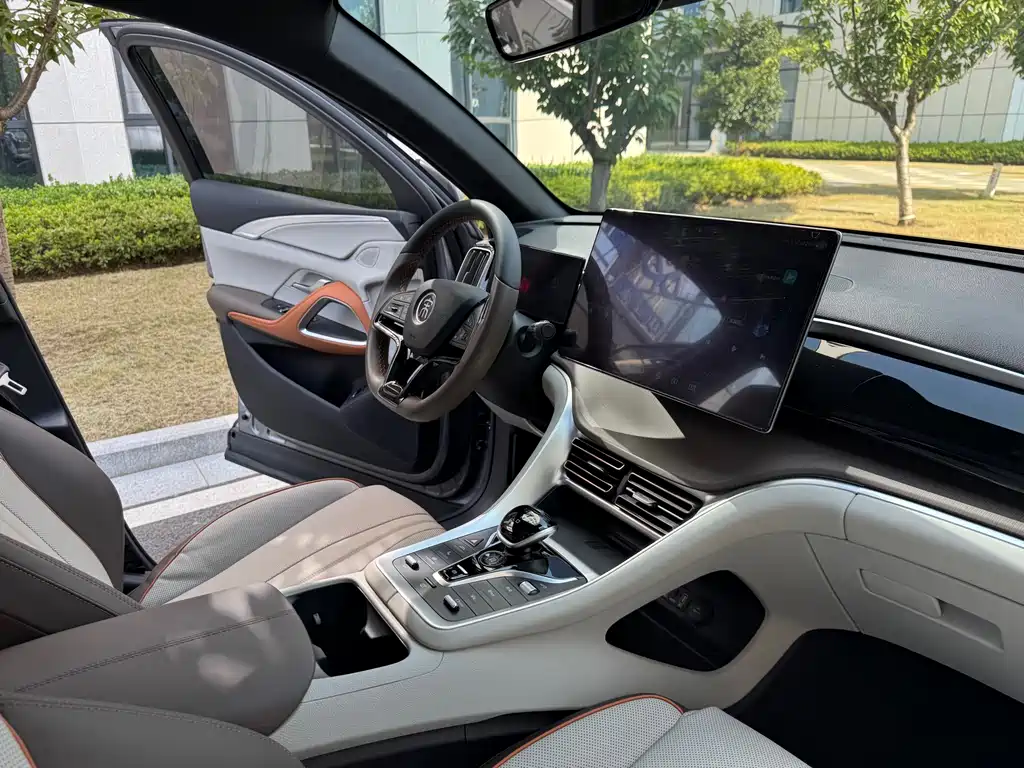 BYD Pro New Energy — фото 19