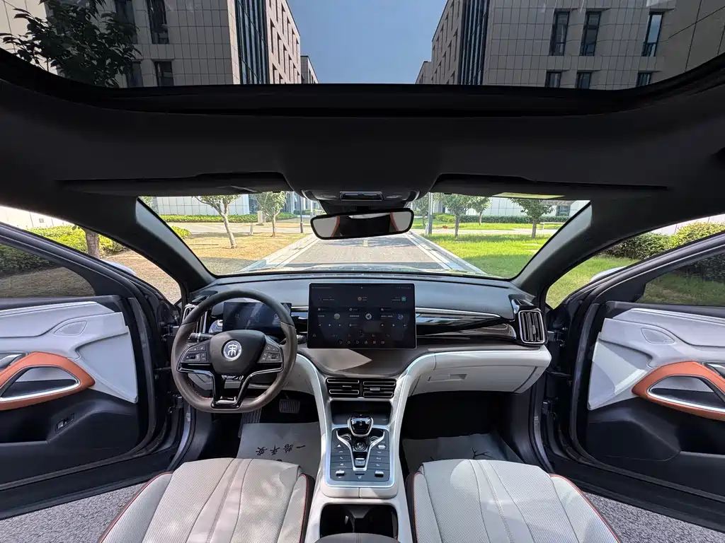 BYD Pro New Energy — фото 24