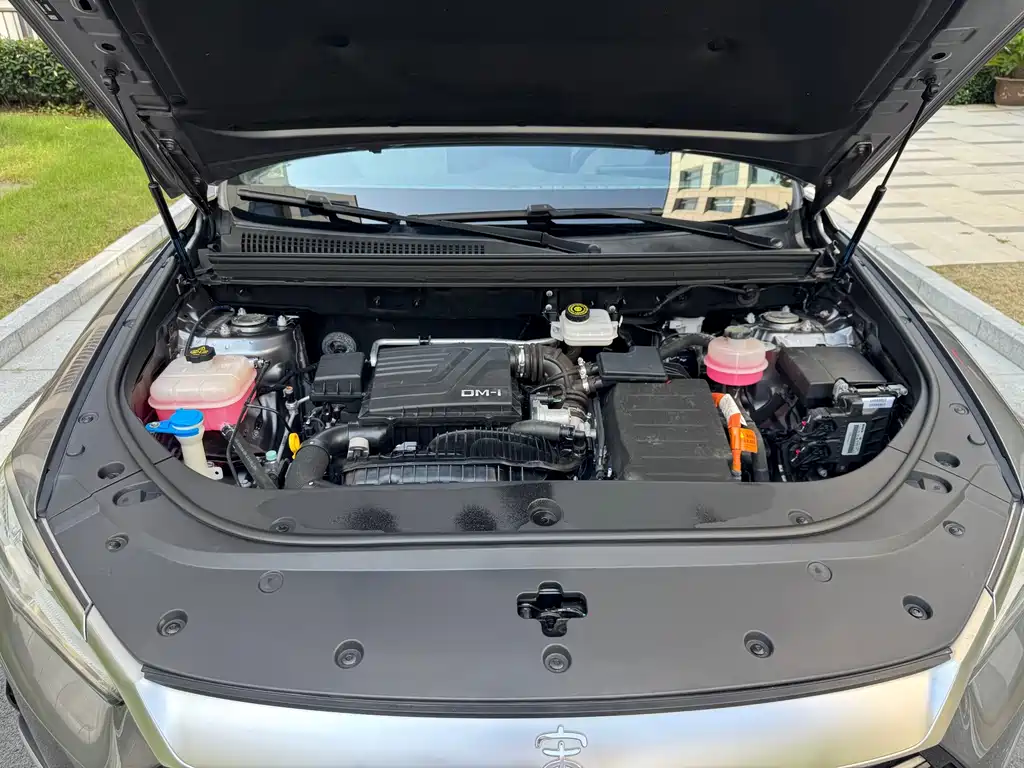 BYD Pro New Energy — фото 28