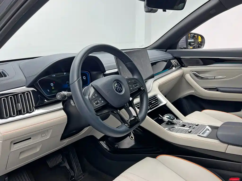 BYD PLUS New Energy — фото 13