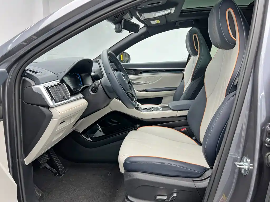 BYD PLUS New Energy — фото 14
