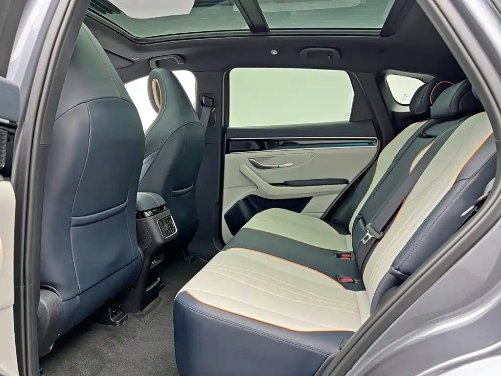 BYD PLUS New Energy — фото 15