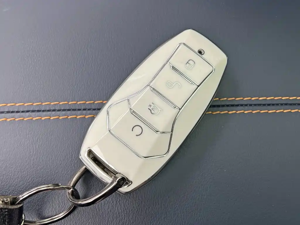 BYD PLUS New Energy — фото 18