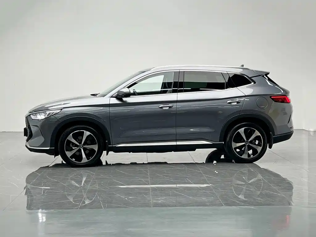 BYD PLUS New Energy — фото 3