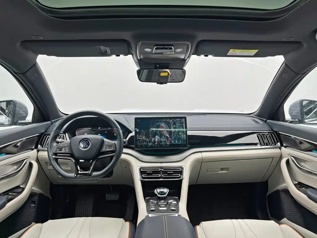 BYD PLUS New Energy — фото 22