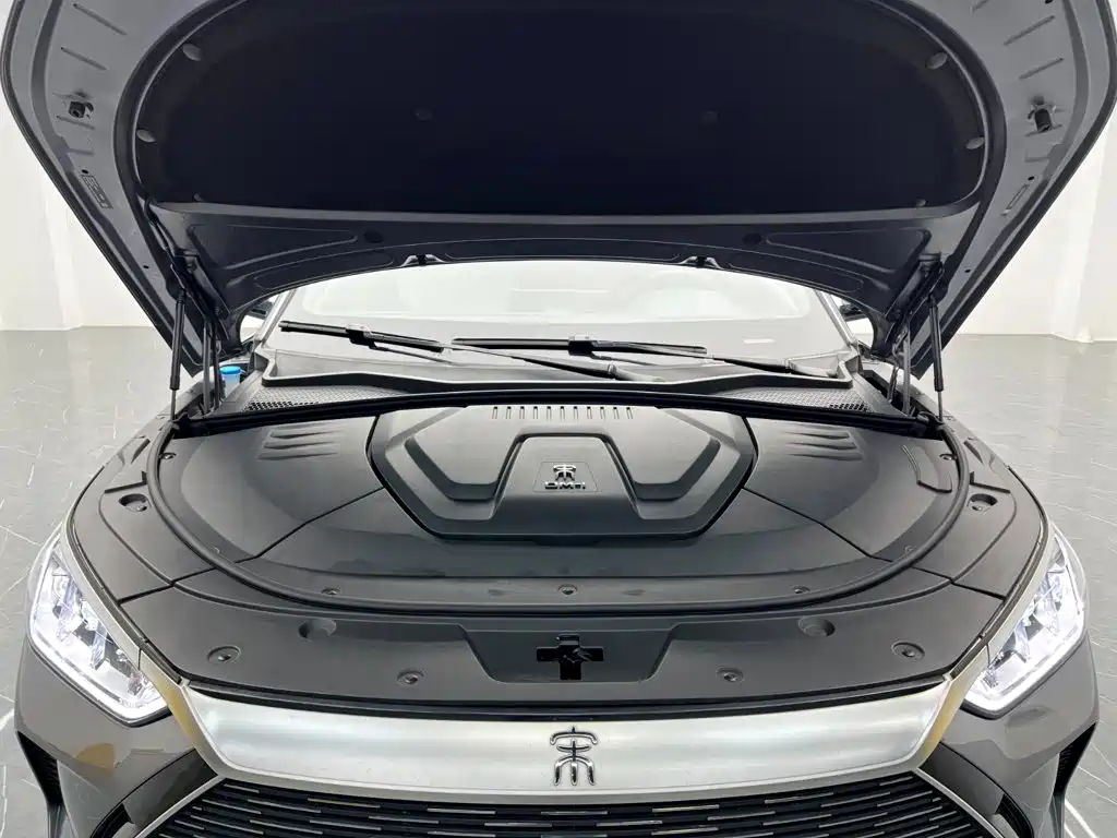 BYD PLUS New Energy — фото 23