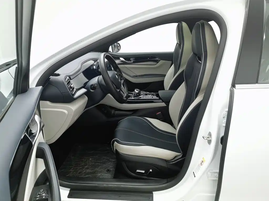 BYD Qin PLUS — фото 10