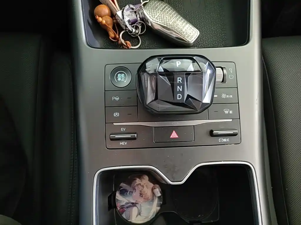 BYD Pro New Energy — фото 10