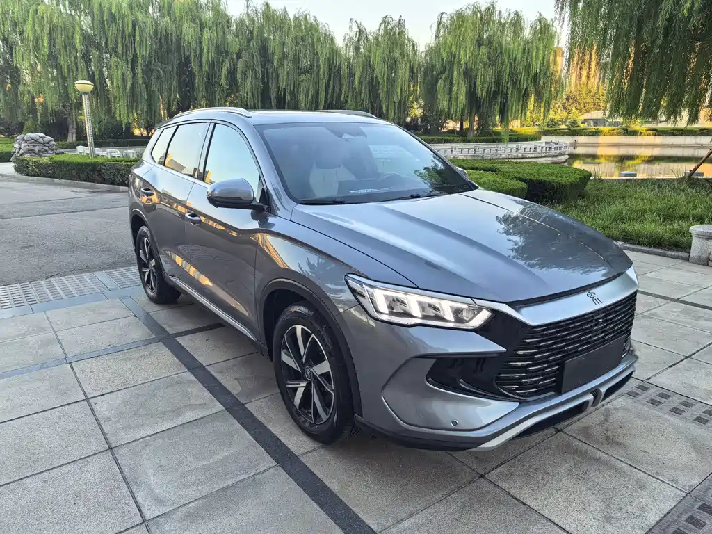 BYD Pro New Energy — фото 2