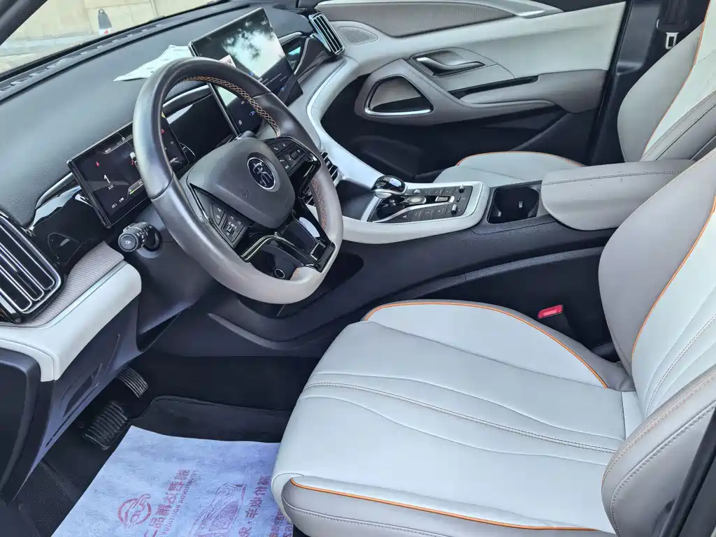 BYD Pro New Energy — фото 11
