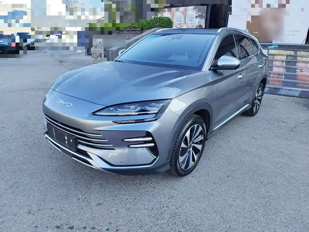 BYD PLUS New Energy — фото 2