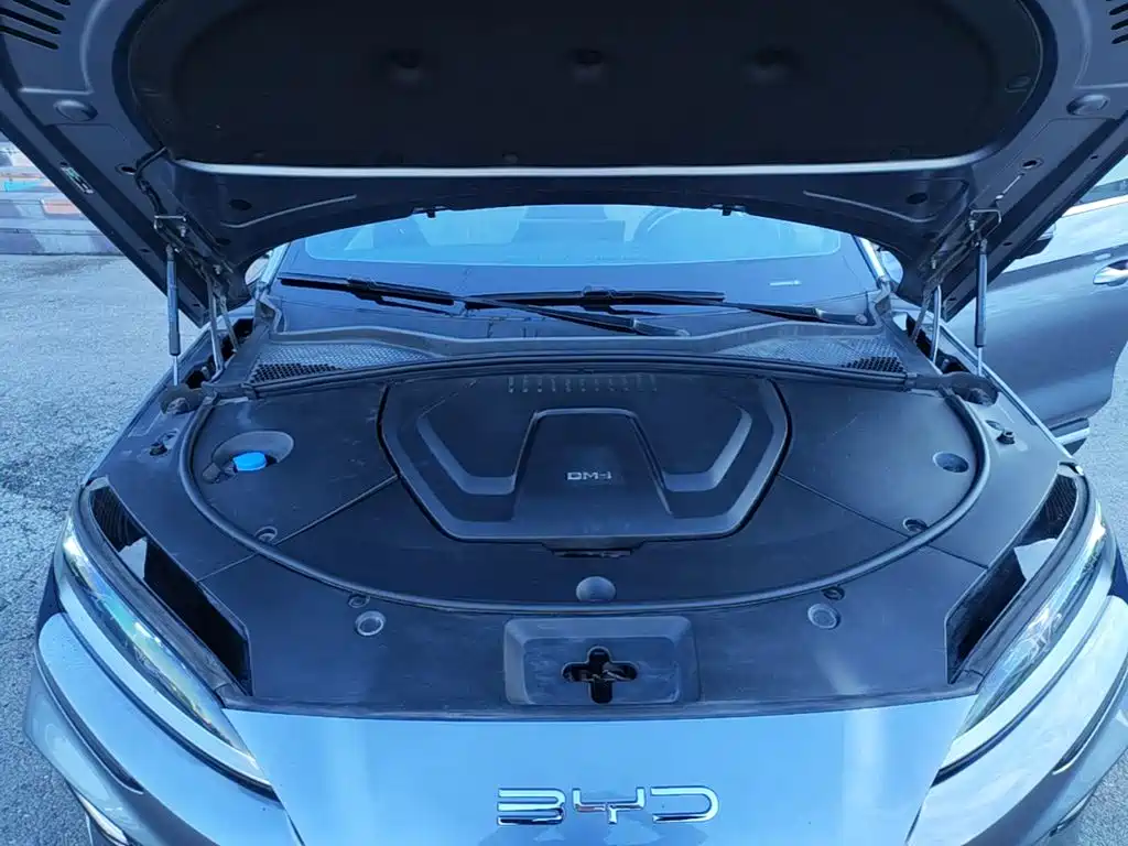 BYD PLUS New Energy — фото 20