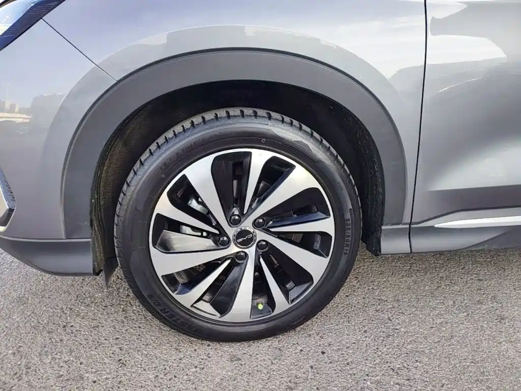 BYD PLUS New Energy — фото 23