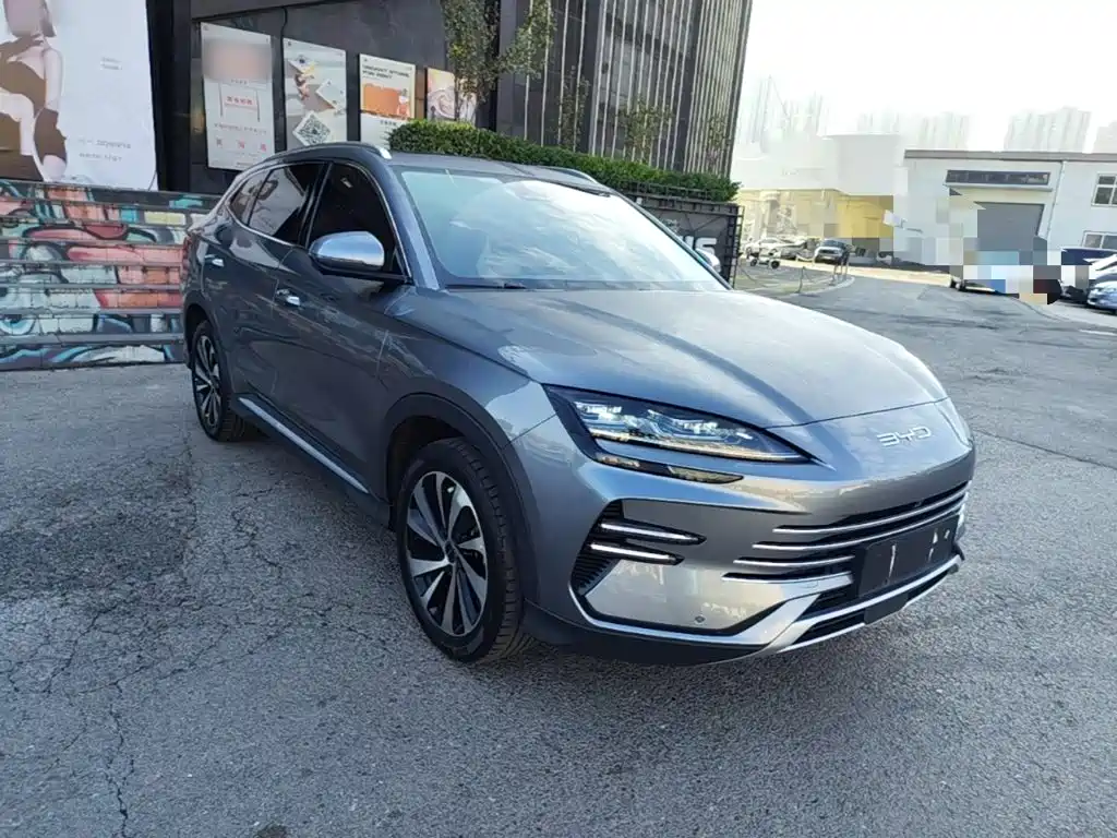 BYD PLUS New Energy — фото 4