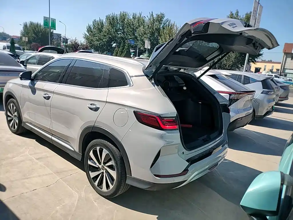 BYD PLUS New Energy — фото 19