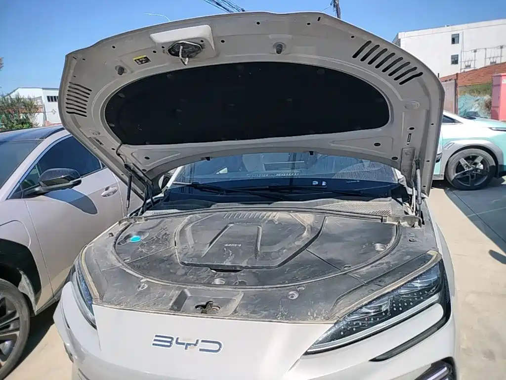 BYD PLUS New Energy — фото 20