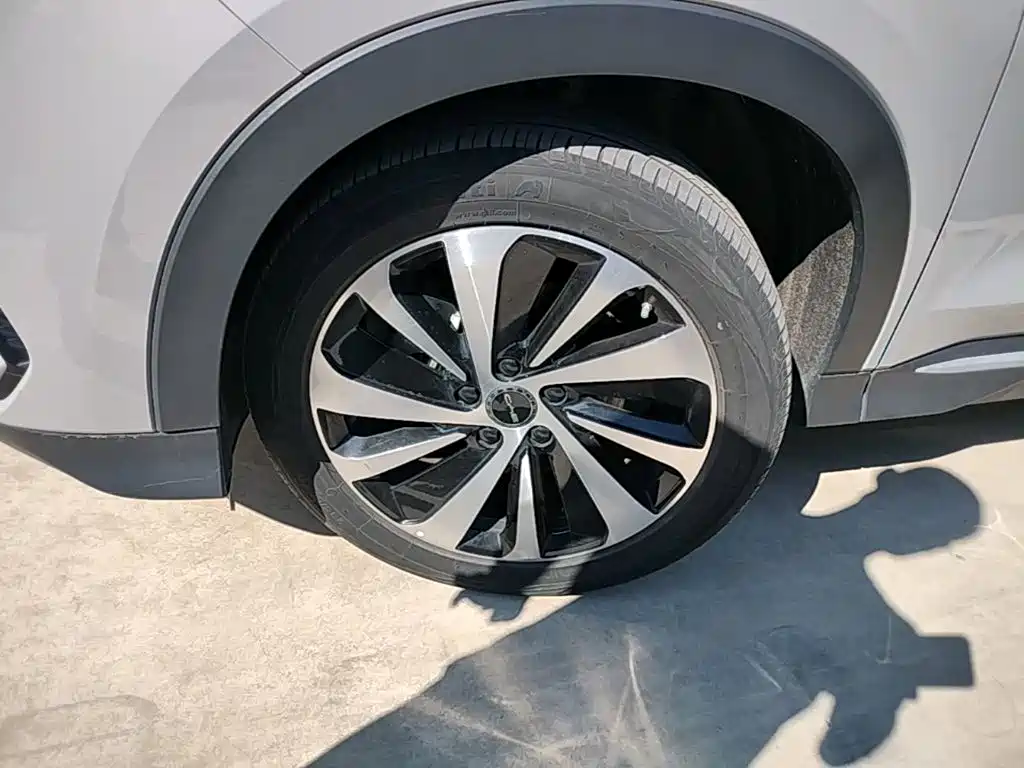 BYD PLUS New Energy — фото 23