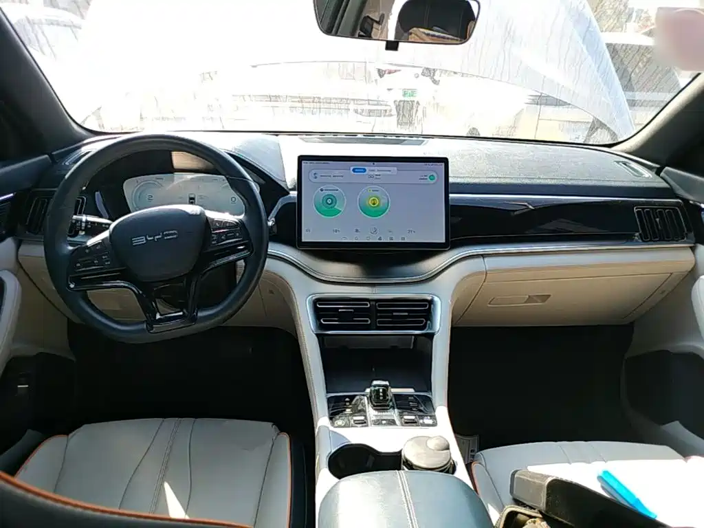 BYD PLUS New Energy — фото 10