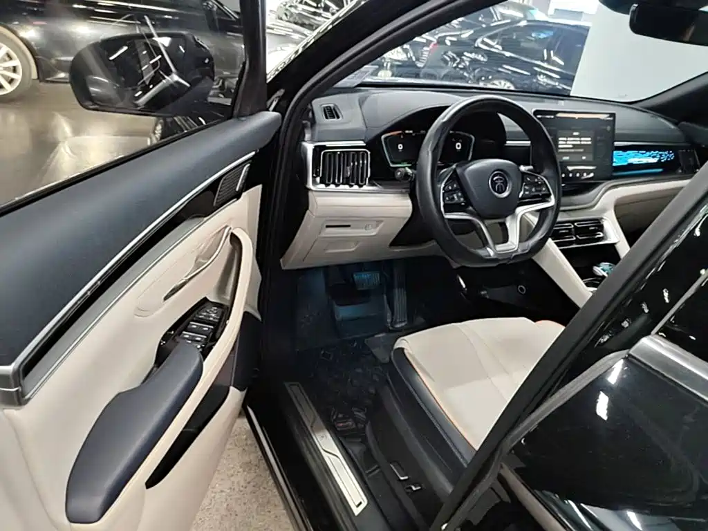 BYD PLUS New Energy — фото 11