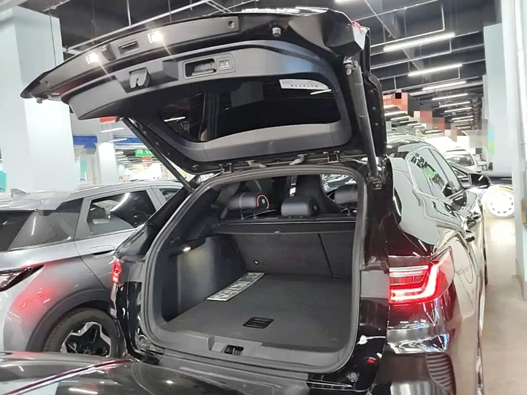 BYD PLUS New Energy — фото 14