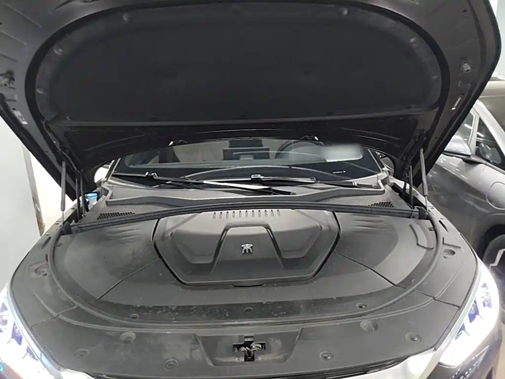 BYD PLUS New Energy — фото 15