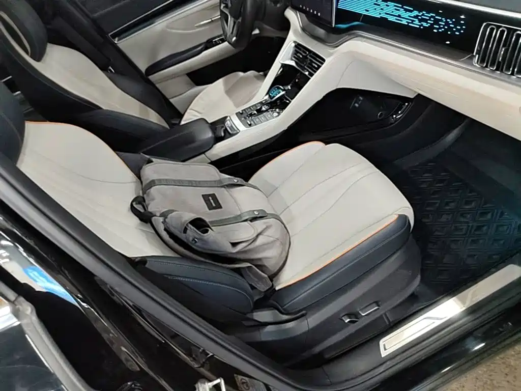 BYD PLUS New Energy — фото 19