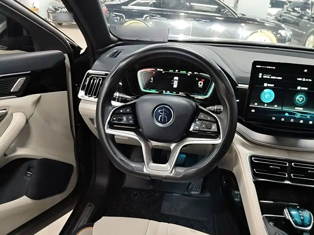 BYD PLUS New Energy — фото 6