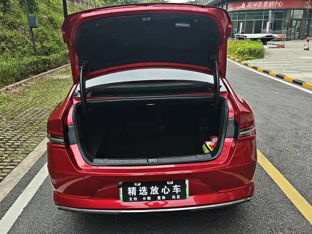 BYD Qin Pro NEV — фото 25