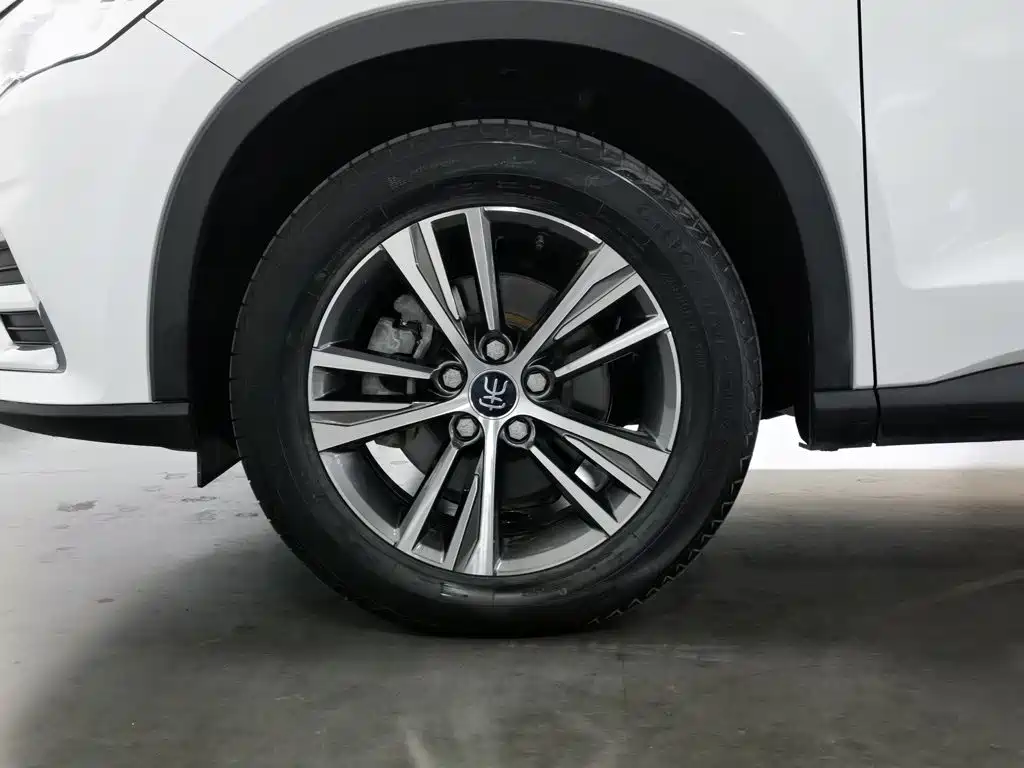 BYD Pro — фото 17