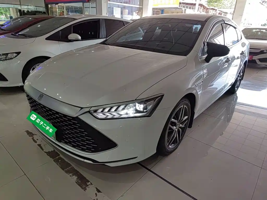 BYD Qin PLUS — фото 2
