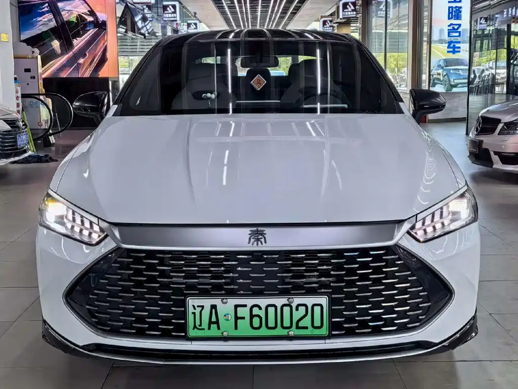 BYD Qin PLUS — фото 3