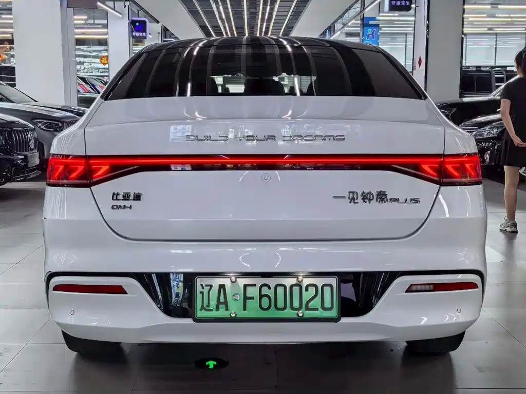 BYD Qin PLUS — фото 5