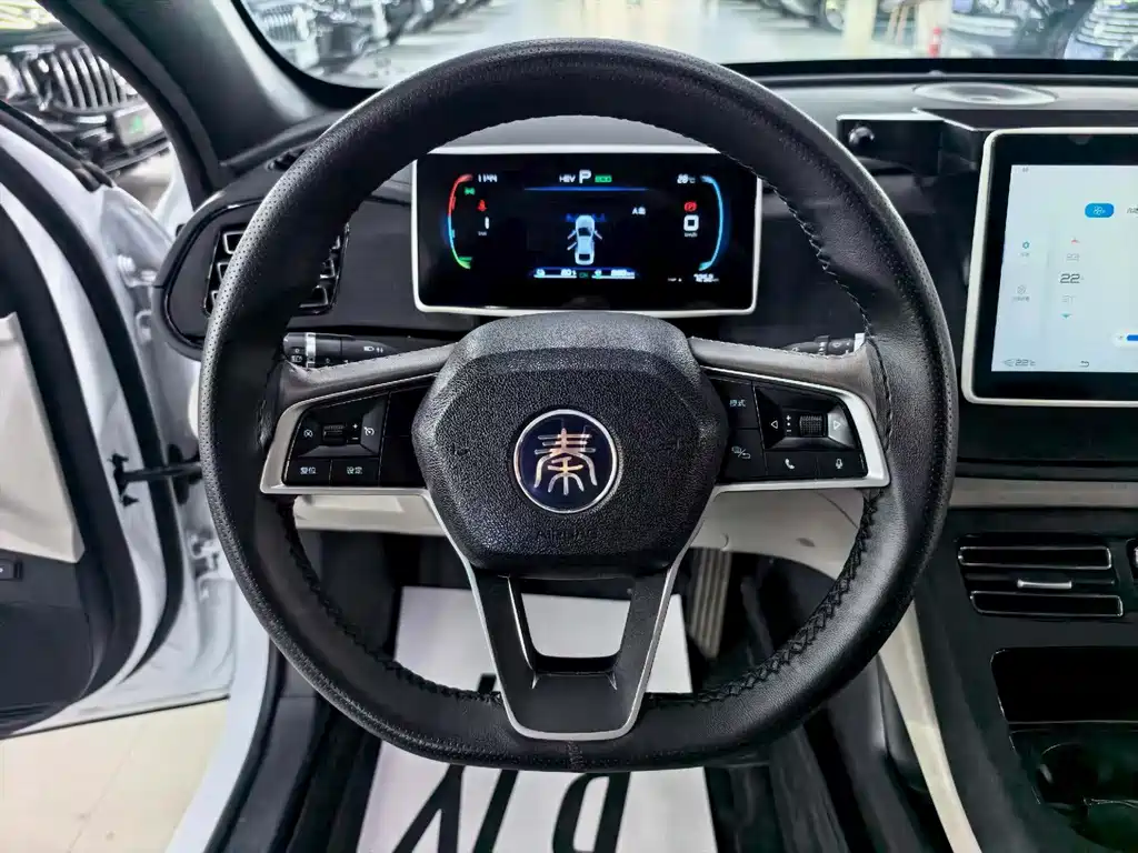 BYD Qin PLUS — фото 9