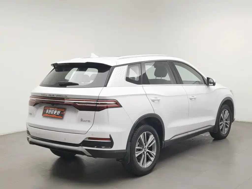 BYD Pro — фото 2