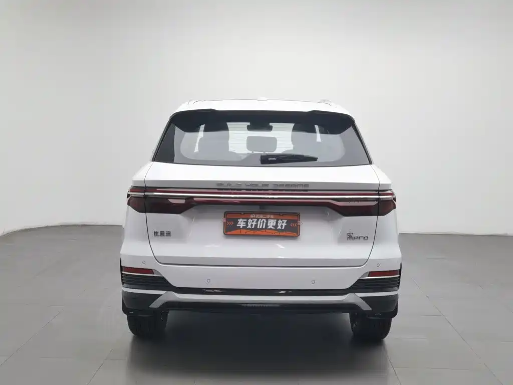 BYD Pro — фото 4