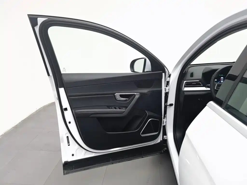 BYD Pro — фото 8