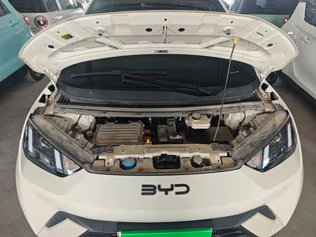 BYD Seagull — фото 20