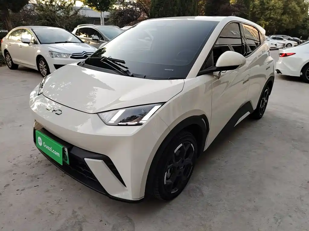 BYD Seagull
